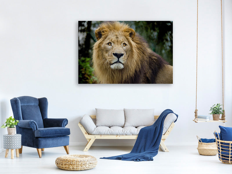 canvas-print-king-of-wildlife