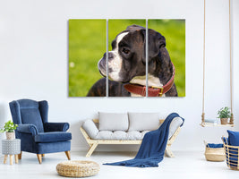 3-piece-canvas-print-attentive-boxer