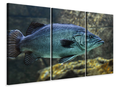 3-piece-canvas-print-big-fish