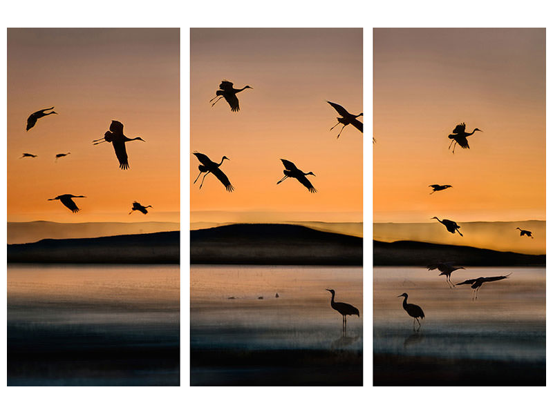 3-piece-canvas-print-fly-in-at-sunset
