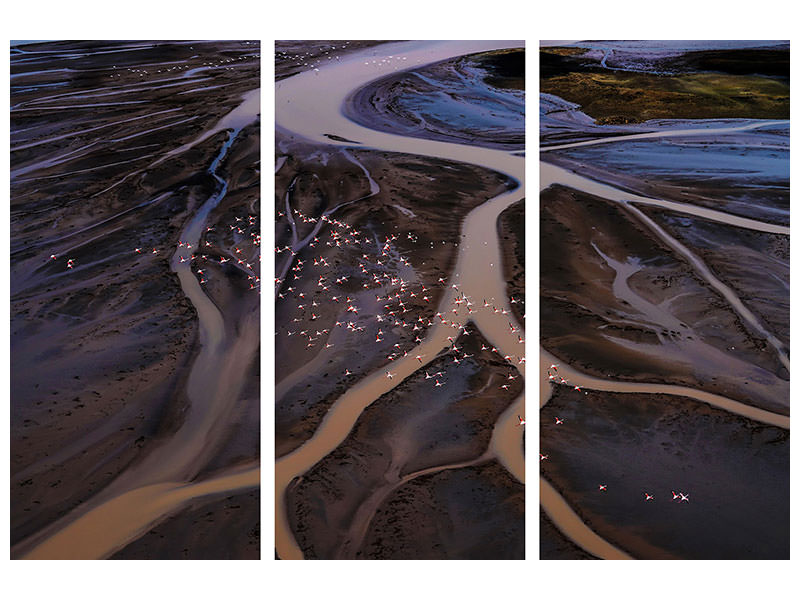 3-piece-canvas-print-flying-over-lake-magadi-i