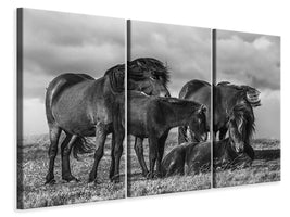 3-piece-canvas-print-happy-family