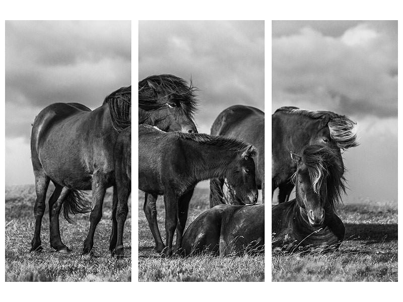 3-piece-canvas-print-happy-family