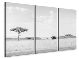 3-piece-canvas-print-high-key-savannah