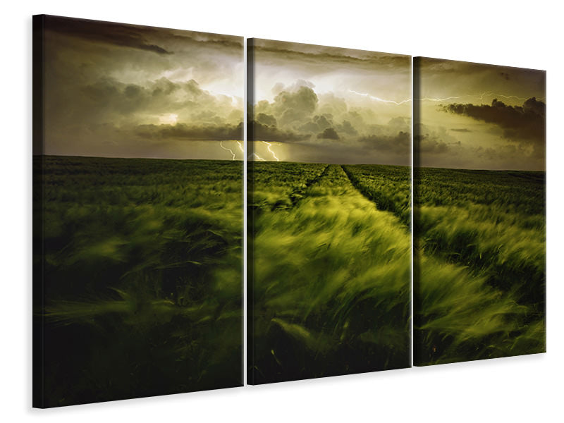 3-piece-canvas-print-journey-to-the-fierce-storm