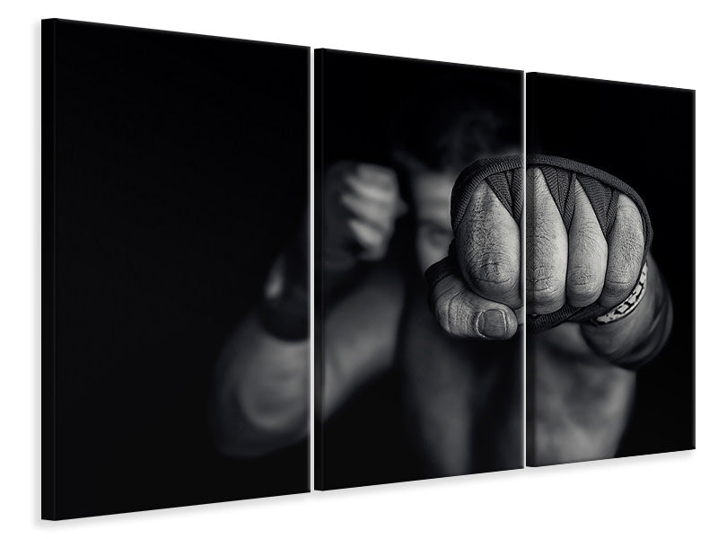 3-piece-canvas-print-left-wing