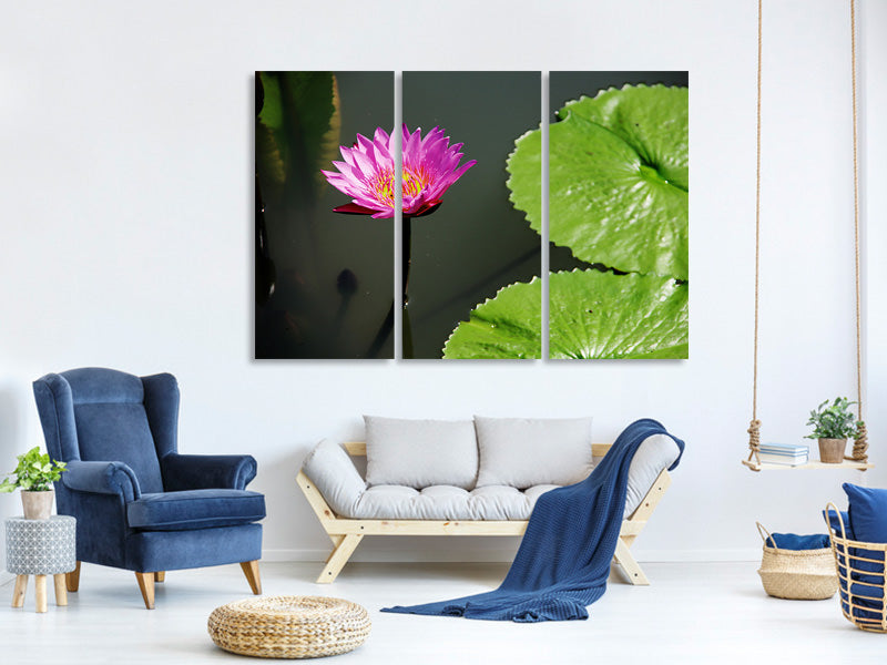 3-piece-canvas-print-lotus-flower-in-pink