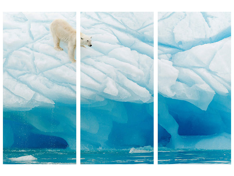 3-piece-canvas-print-polar-bear