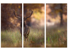 3-piece-canvas-print-posing