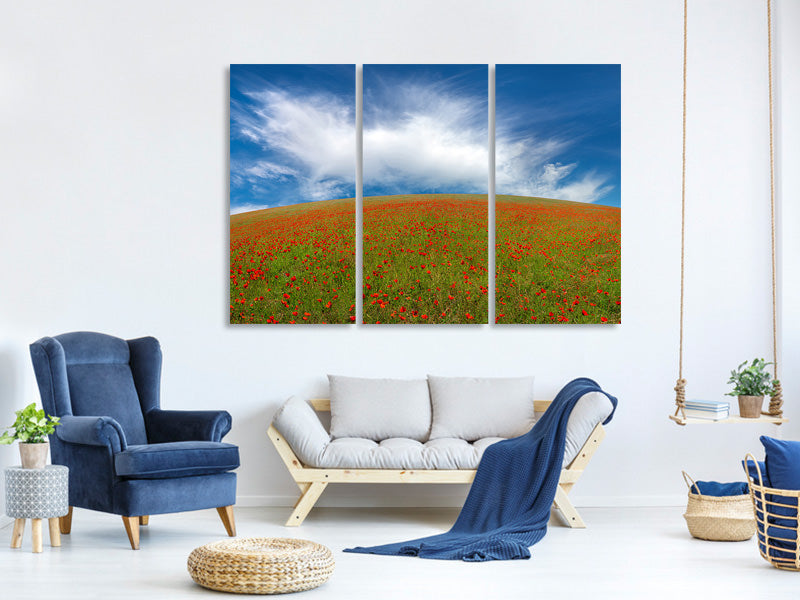 3-piece-canvas-print-red-poppies