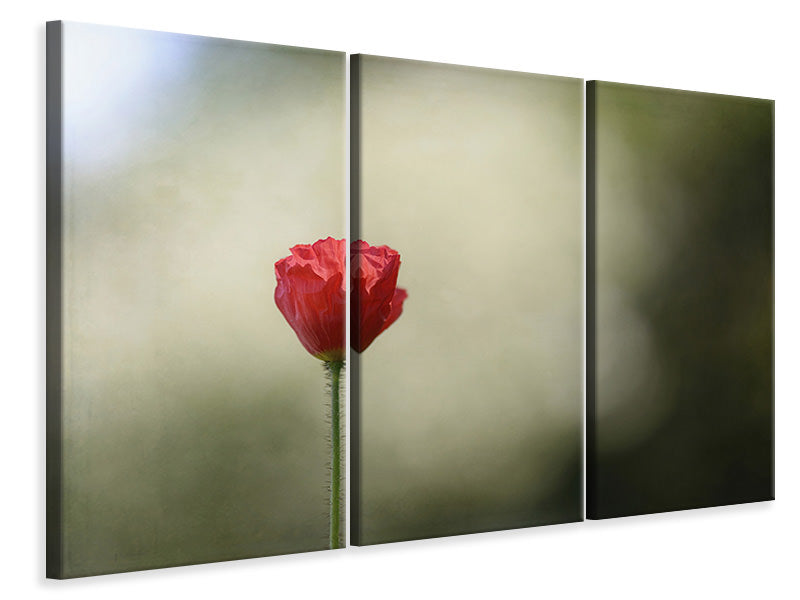 3-piece-canvas-print-red-poppy