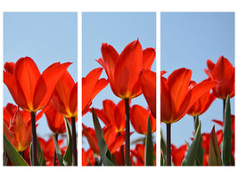 3-piece-canvas-print-red-tulips-xl