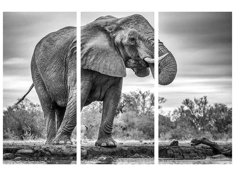 3-piece-canvas-print-standing-proud