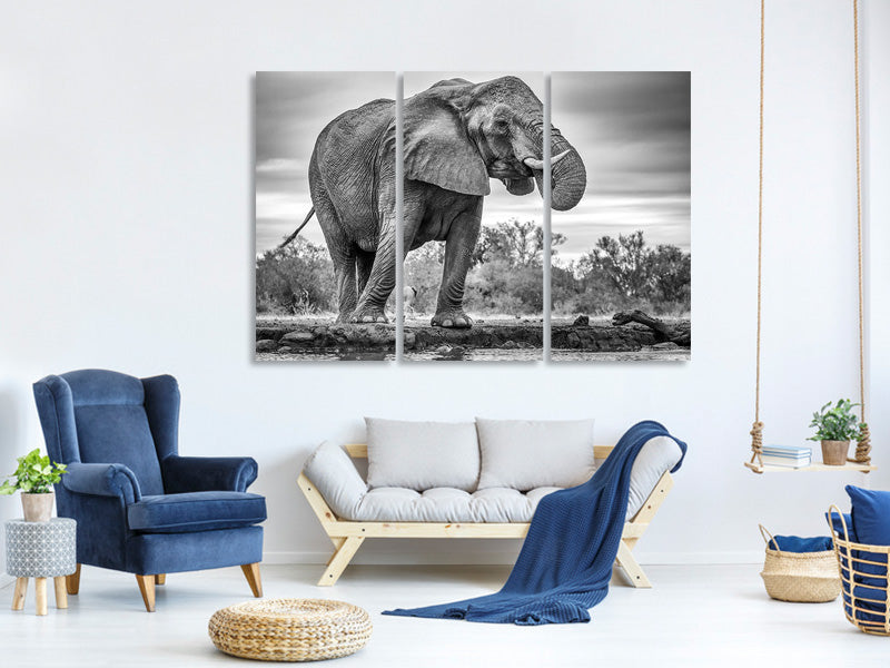 3-piece-canvas-print-standing-proud