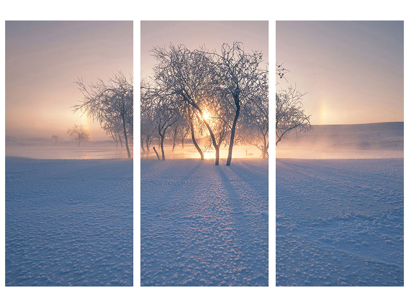 3-piece-canvas-print-swan-lake