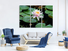 3-piece-canvas-print-the-proud-water-lily