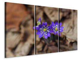 3-piece-canvas-print-wildflowers