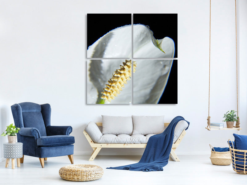 4-piece-canvas-print-calla-close-up-in-white