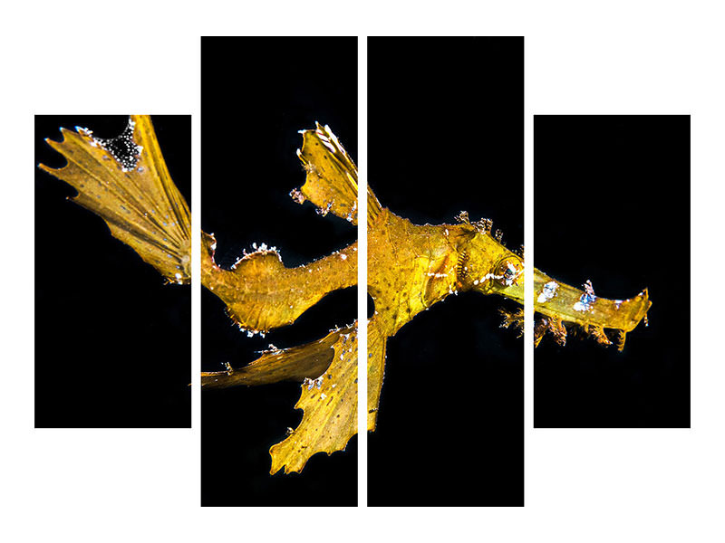 4-piece-canvas-print-delicate-ghost-pipefish