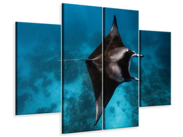 4-piece-canvas-print-manta-fly