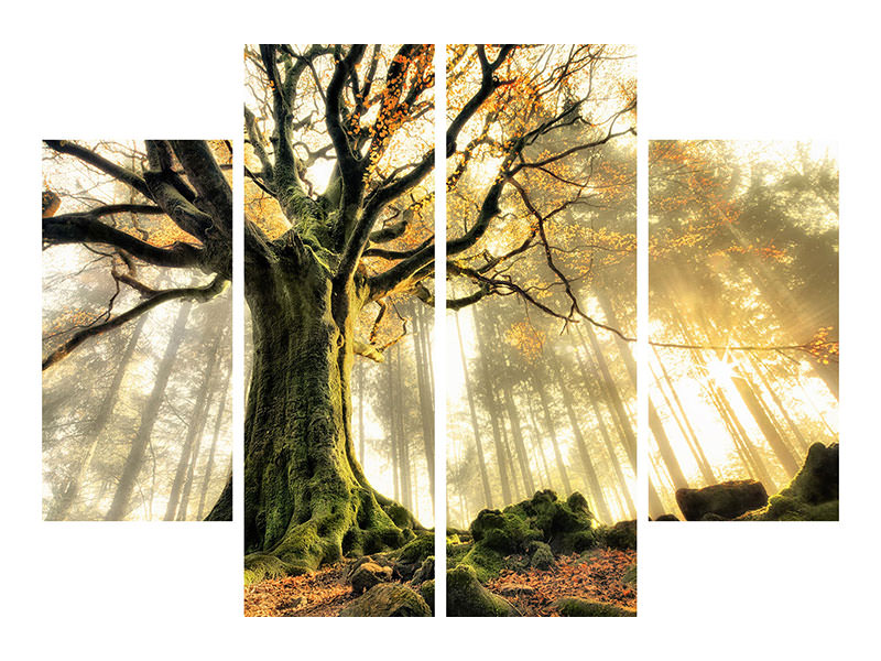 4-piece-canvas-print-november