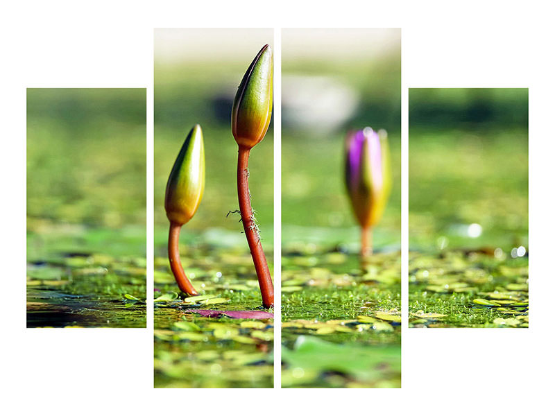 4-piece-canvas-print-water-lilies-in-xl