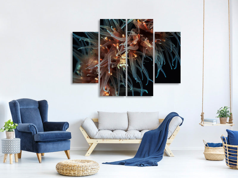 4-piece-canvas-print-zanzibar-whip-coral-shrimp