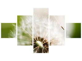 5-piece-canvas-print-blowball-dandelion