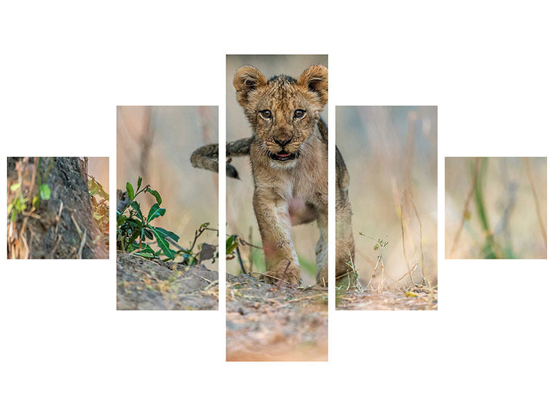 5-piece-canvas-print-cub-south-luangwa