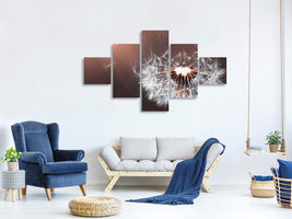 5-piece-canvas-print-dandelion-in-the-evening-light