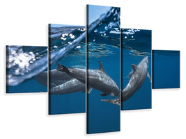 5-piece-canvas-print-dolphins