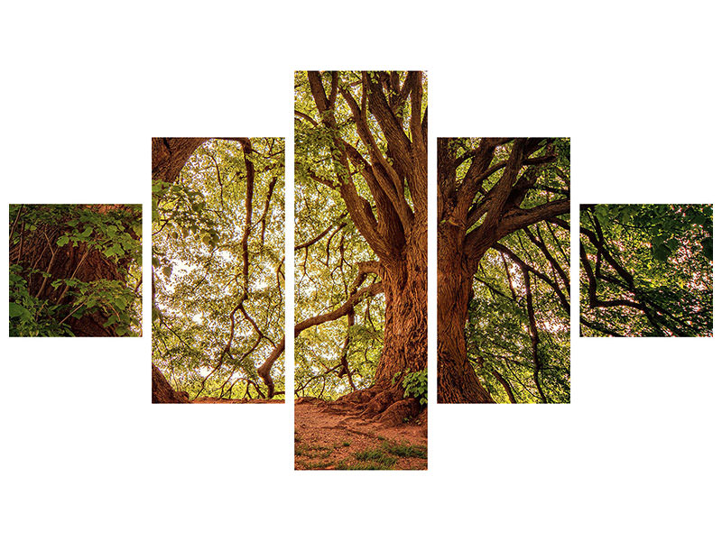 5-piece-canvas-print-in-the-dense-forest