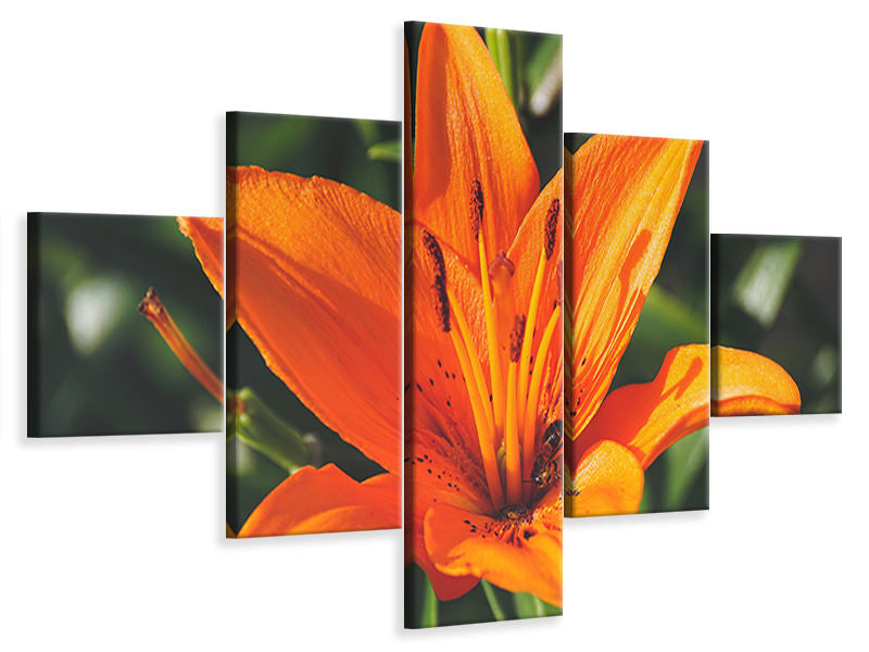 5-piece-canvas-print-lilies-blossom-in-orange-xl