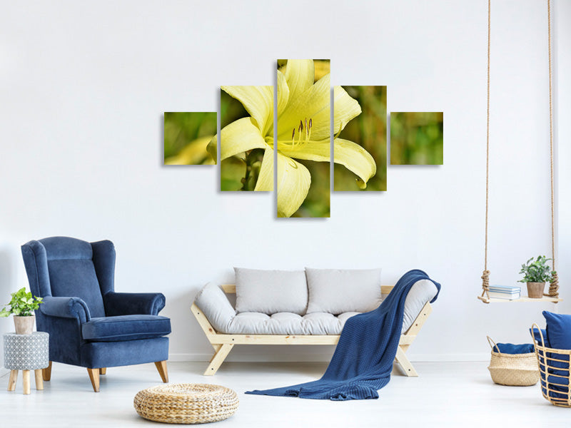 5-piece-canvas-print-lilies-blossom-in-yellow