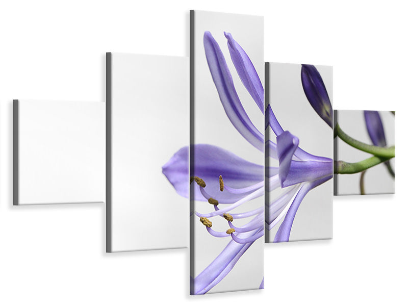 5-piece-canvas-print-lily-flower-in-purple