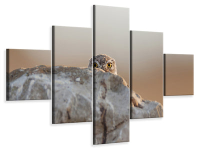 5-piece-canvas-print-little-owl