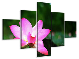 5-piece-canvas-print-lotus-in-nature