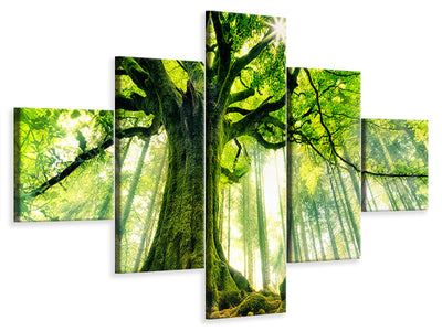 5-piece-canvas-print-ponthus-beech