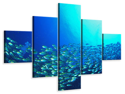 5-piece-canvas-print-shoal-of-fish