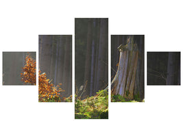 5-piece-canvas-print-the-magic-in-the-forest