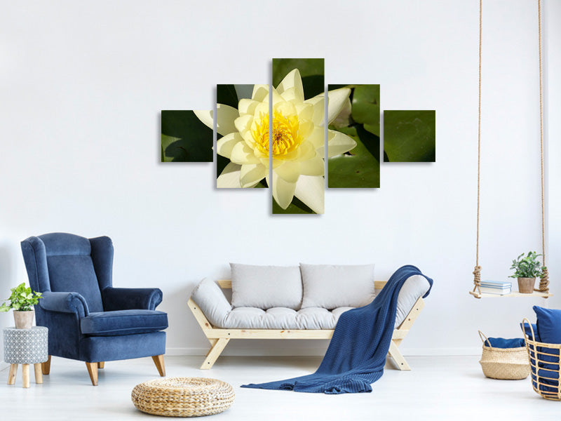 5-piece-canvas-print-the-water-lily-in-yellow