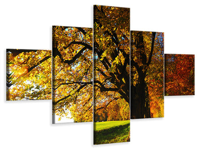 5-piece-canvas-print-trees-in-the-autumn