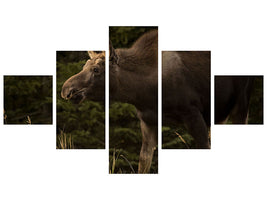 5-piece-canvas-print-young-moose-on-the-loose