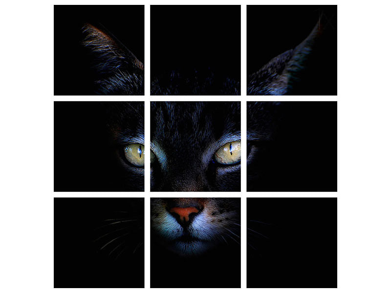 9-piece-canvas-print-cat