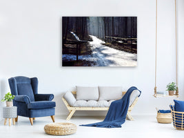 canvas-print-a-path-in-the-snow