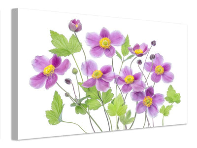 canvas-print-anemone-hadspen-abundance-x