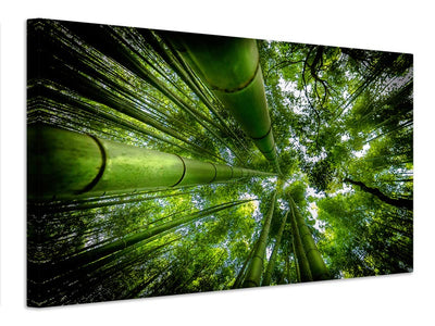 canvas-print-arashiyama-x