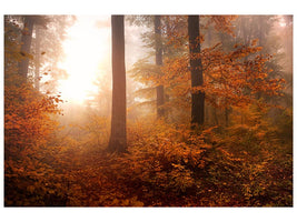 canvas-print-autumn-xpi