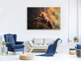 canvas-print-bear-portrait-x