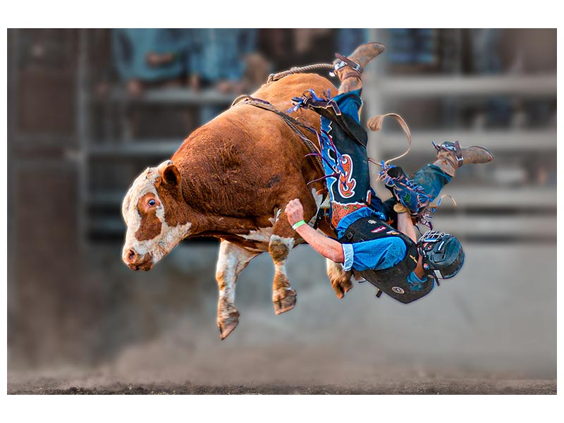 canvas-print-bull-riding-x